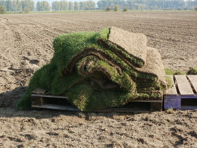 landscaper