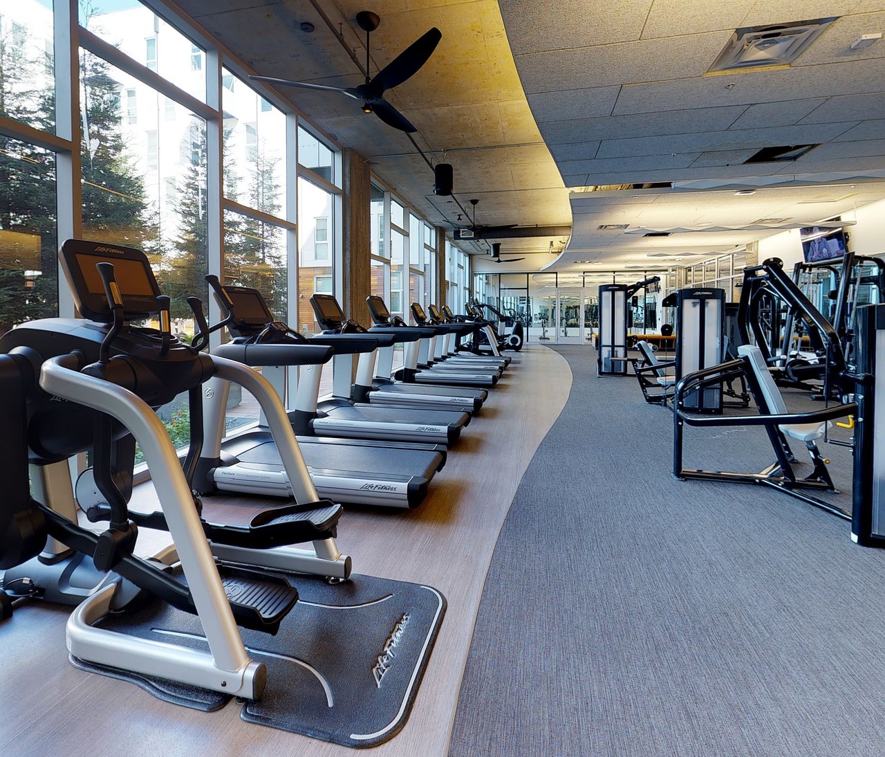 gym